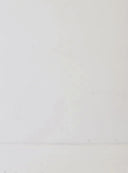 JUMPSUIT CAVIRA WHITE